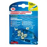 CAPICOR.PIATTI FEMM.BLU PZ.10